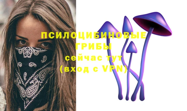 MDMA Гусев