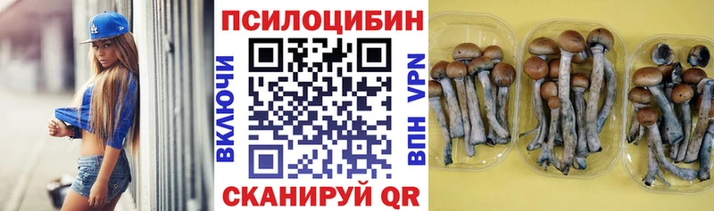 hydra маркетплейс  darknet формула  Галлюциногенные грибы прущие грибы  Дмитриев 